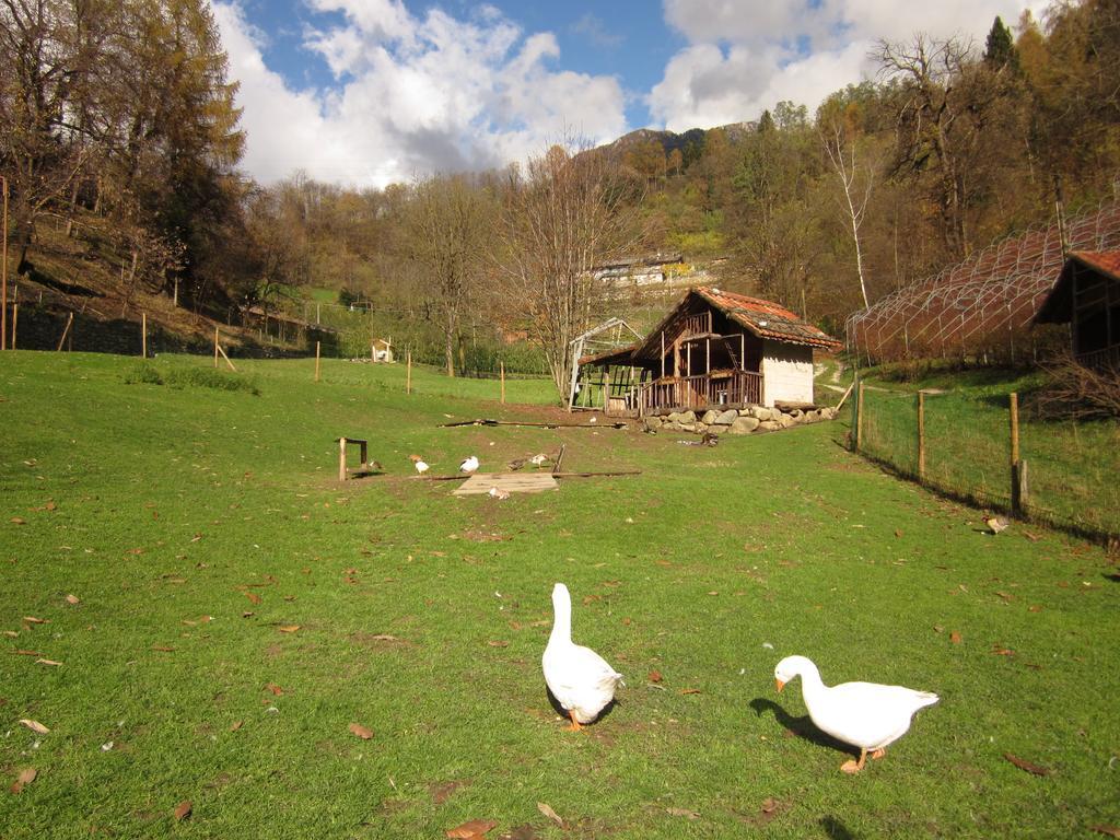 B&B Al Larice Strigno Exterior foto